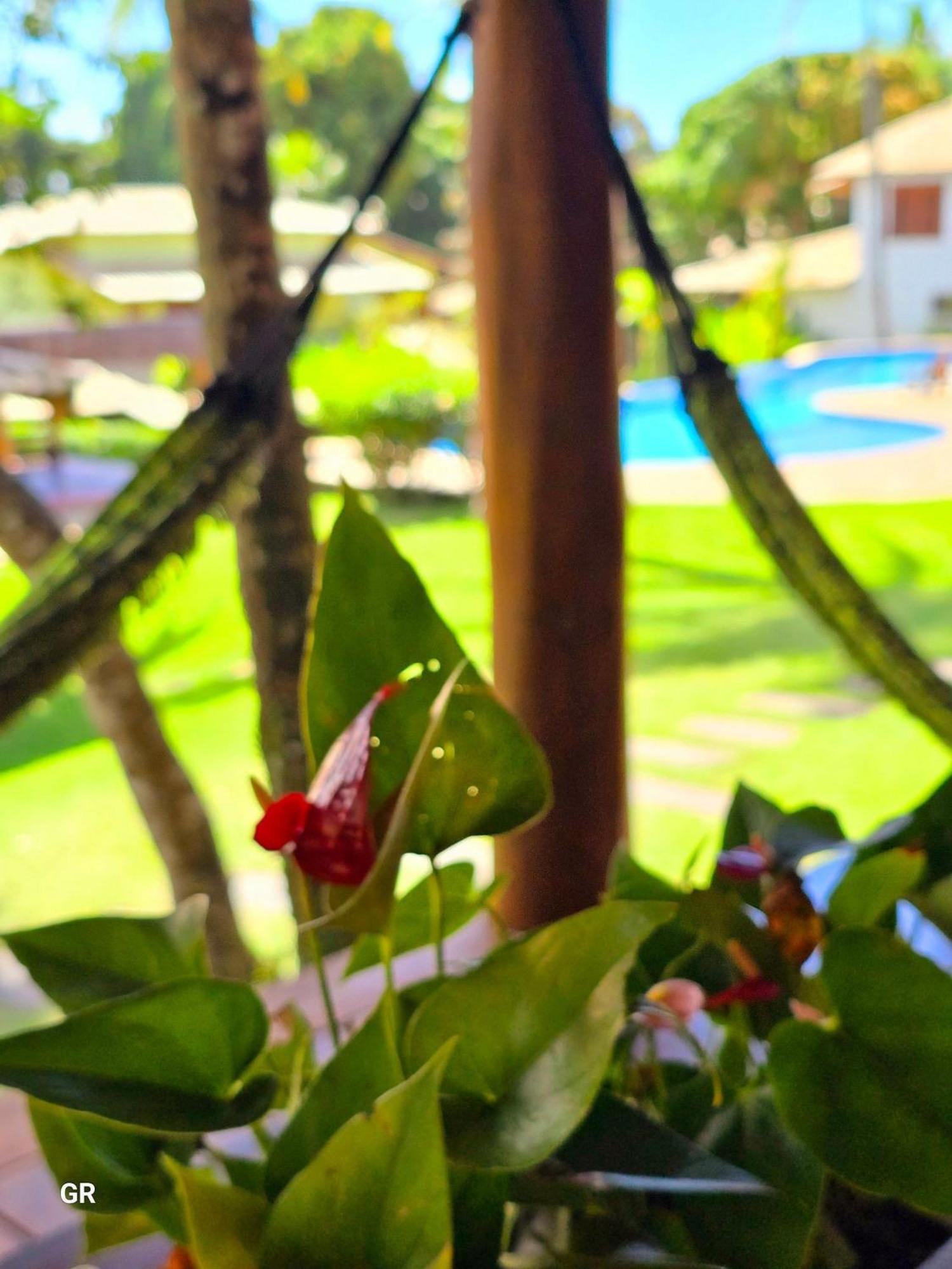 Top Houses Village Tropical Centro De Arraial Порту-Сегуру Экстерьер фото